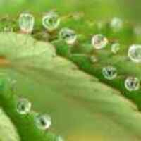 86de5a8d392ab0a149e1697a6f3846c888a5a7e3