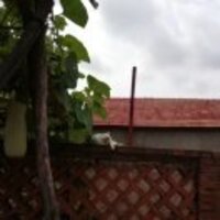 24b1288ada15318d8974d0ca9fa8a0a3ad685b20