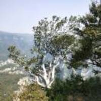 1242d88e93c2f3368fd91c36407ab3781c9124ce