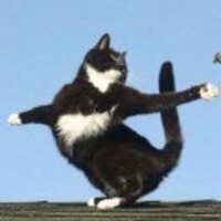 B4e1414c52793f0b1ea1d1c1d30c89351dbd092e