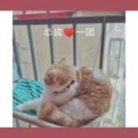 12d56d9b0b6ec481d1efb397e0049c25fdb81b95