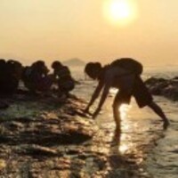 918255e5b609e40cd369709e5bafa9b001526703