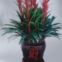 E3f452fb027d9b3efad40ed31cb1755499da7f16