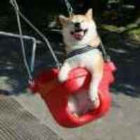 C93ee57eaa5b6504c1c3405bcfd7fb079c65cdb6