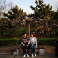 28932fecf35cae5a203802db8599c6436e784f01