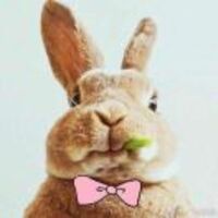 B53ae3e5f0890a9ab3f6bddd4f545429eb488d35