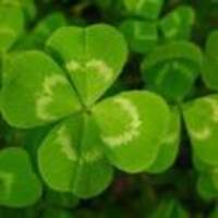 06d57c7f99d0213a3261e3fc3df361d8e2fbfc89