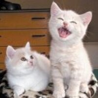 E3d7be23ce1ed1aa6f384afae0cb6d23991ec63d