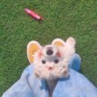 4e4b0f16c36dd621fa3121c3fb32cc905aa33da8