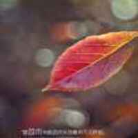 Aeca8e7a2844e98612a5371baa486403d5fb893b