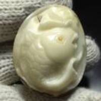 D8d20020ca9a734d5b32d4b86fe8f991690ae351