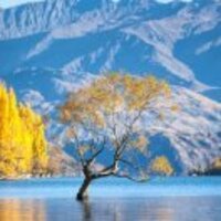 Fcfbcc1b91082598bbcbf913de33b11de01a21da