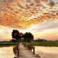 C25b88ddb1c70409f6b313e533ae66013dfe99f3