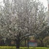 E5d07c8fd67bf850b1340d620b5ab509474aa7de