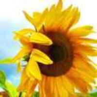 2228fd75f0e748af4b456c1ead05d6e133b427ba