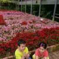 D40e2f2d7aaabdad5cf31ece162814fe54e094ef