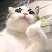 115a55e04997a16ce33d6a1e1bfd5c3d827c26ec