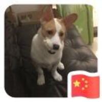 866c5e7e20a0a999ce8fabc6b8e0a1681dabc2a9