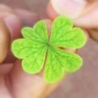 67e5fa9864c4cac336ecc9d4bcae1c0ff255c9da