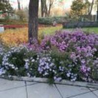 E3b4ada80614b08a0632e7b680df3c52a64d49a2