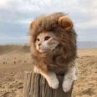 D7b9488adfc59cd378b1bcd1c619cb7c85be3193