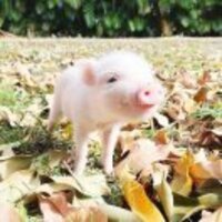 8674c508ea924156a98ec9449aeb38cced3c7448