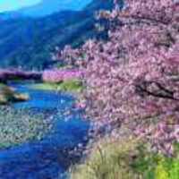 2f5e31d56fb918480af3dba4ef63f4bfd354de51