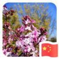 D09261e4d526f3d95697d03694d3717c063042c6