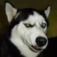 8321877edd775236f2f291c705c3aa6a5858d899