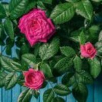 77083eee89eef988c437be0eb6a43aecf7edb276