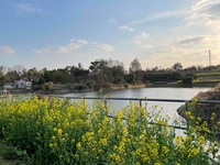 Ed8a2918af202bd857131fd26c25ba2f44324b20