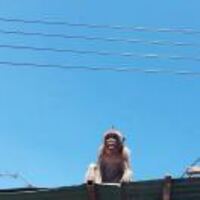 C9a93f171f08f8c635693afafd3c2b5e1d8223e3