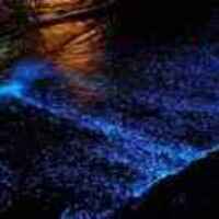 7b739a90e360f7bb62cea5989f544e4f234540f3