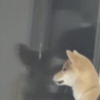 D5ce67fd9dd61aa246723baed6e326a49dec9068