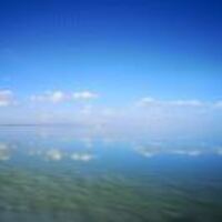 9e69e7b737b2c56b154da91da73a51a1da7ca542