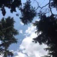 7d86140333a0bd3345c3c6b6a4ee73ba05bcdcb7