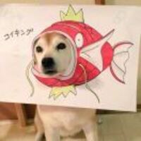 1bcf693faf52db350b49c96248e3cffa61caf9de