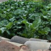 B9173f7388f17446f558e83ff9d6638780000712