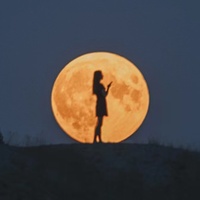 E8214fbc7e41bc8835425a51764b0731ac53db41