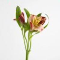 25f3be5de836f48f9803b107271390fac4bc0bc4