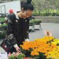 Ea3b57553fcd4ec3440e9f249a0915a4315977ba