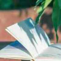 81aaf403294d865c7f4135eecc5d133b15d2e06e