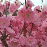 34c45be3c8312f0b63506b68b3c587a95d3681f1