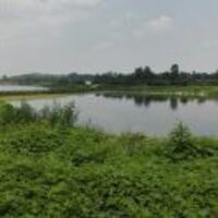 8eed6f1eac2d65a5183b4374a0db15a5a7740033