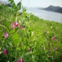 Ca80f6000f09edb3cb7c739cb70f90f46c9e5311