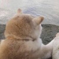 6496c230afe81aa6fe8d7721136c2fadbe76f4e2