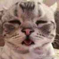 7b0fb377aab8a507a13fe2d0eed35ea9eea94db0