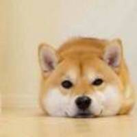 D9bc384a2cb883afccfdb7d16e58a032d56af811