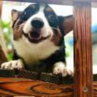 11a84c81a72e9a699b1f0fcb6191c004467fcd94