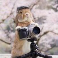 7e169f4dbce628f4d3a0c04322893839ea4790b6